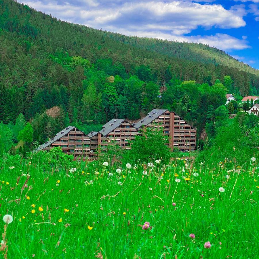 Ferienwohnung Guenter Im Tonbachtal Baiersbronn Eksteriør bilde